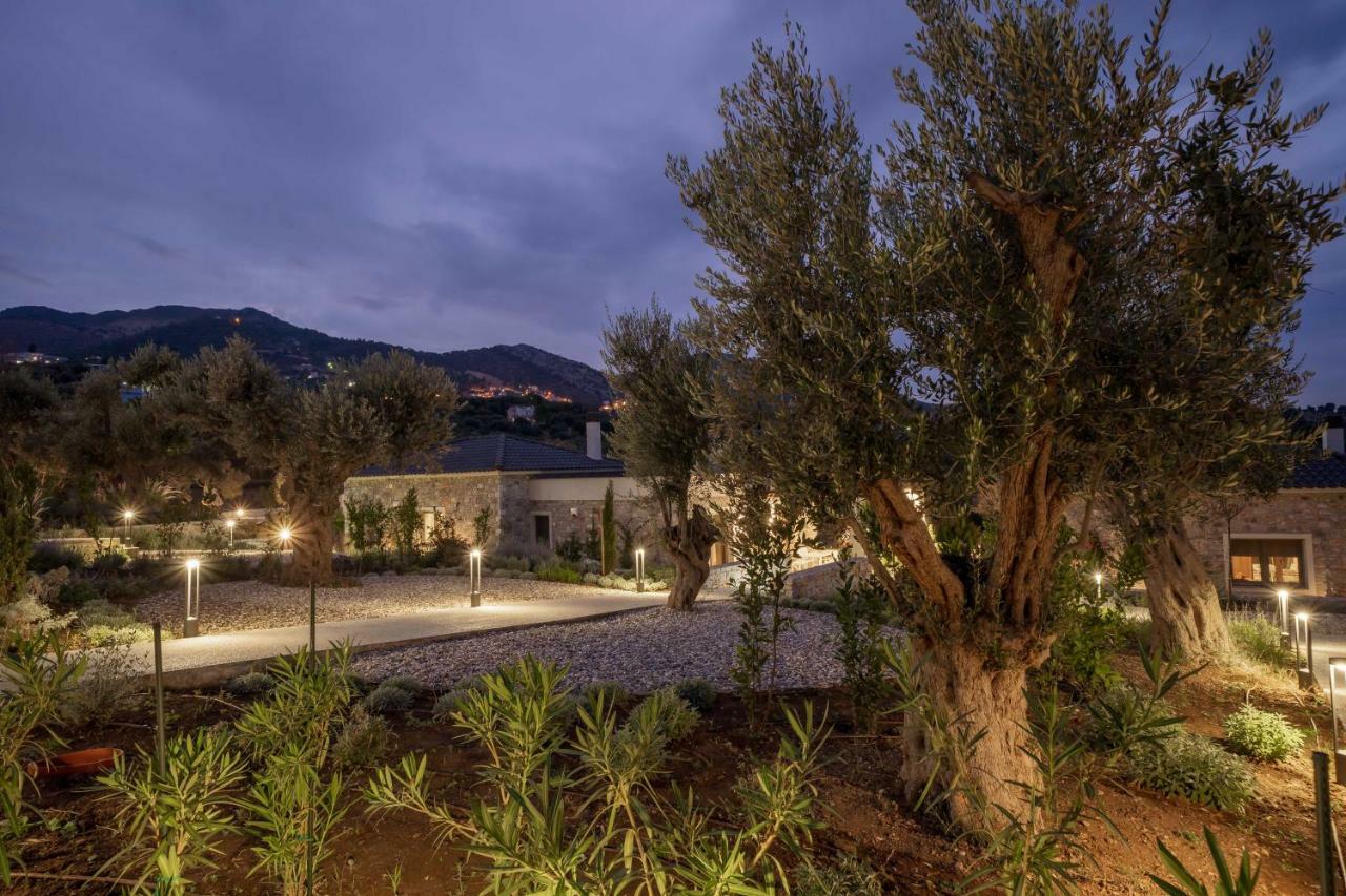 Elies Residences Luxury Apartments Mytilene ภายนอก รูปภาพ