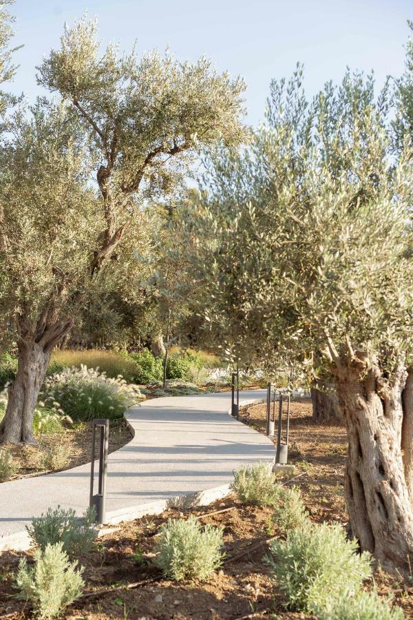 Elies Residences Luxury Apartments Mytilene ภายนอก รูปภาพ